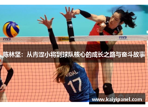 陈林坚：从青涩小将到球队核心的成长之路与奋斗故事