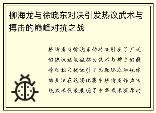 柳海龙与徐晓东对决引发热议武术与搏击的巅峰对抗之战