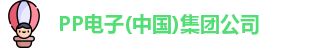 PP电子